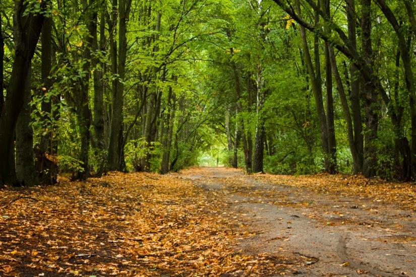 Озаричі з panoramio.com - Озаричи