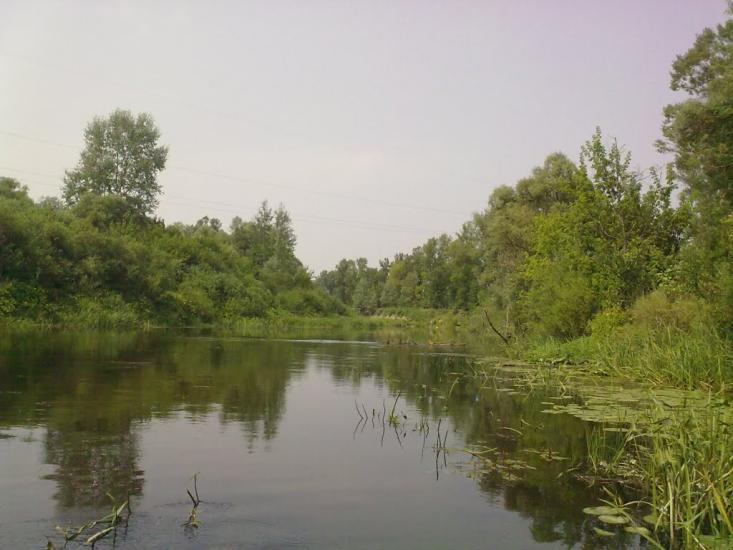 Перевіз з panoramio.com - Перевіз