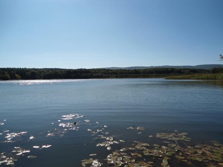 Доброгостів з panoramio.com - Dobrogostiv