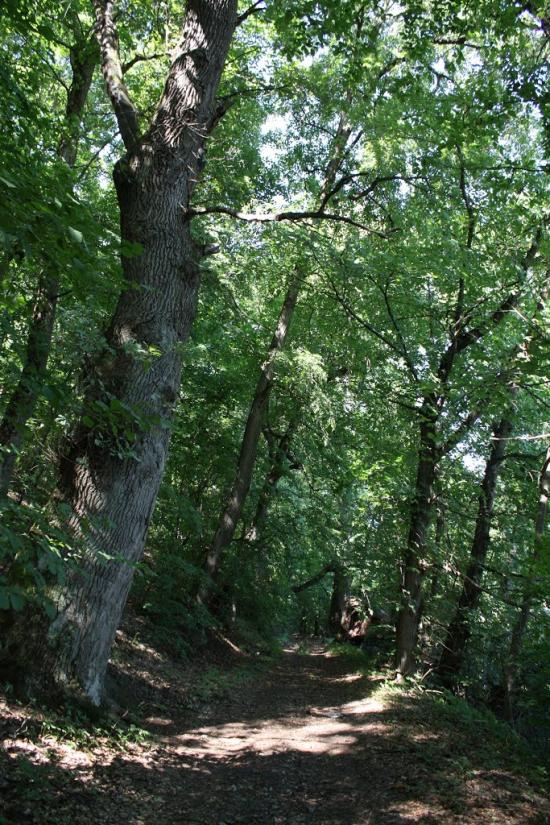 Велика Бурімка з panoramio.com - Великая Буромка