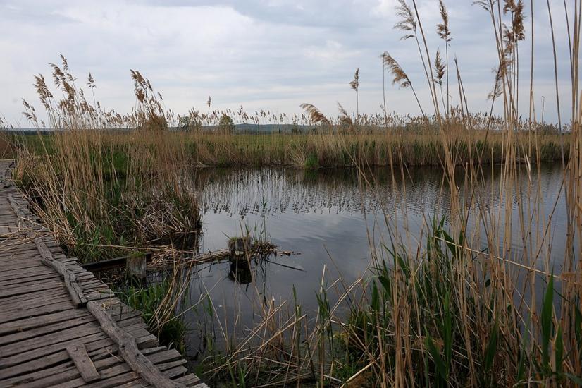 Ямпіль з panoramio.com - Ямпіль