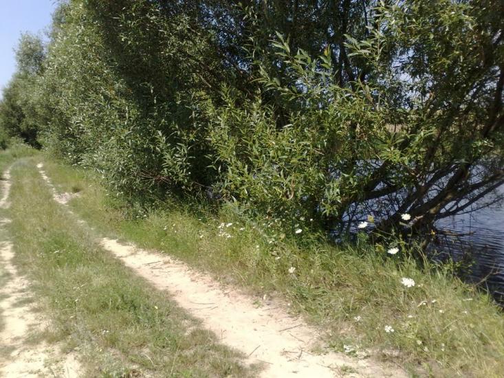 Пінчуки з panoramio.com - Пинчуки