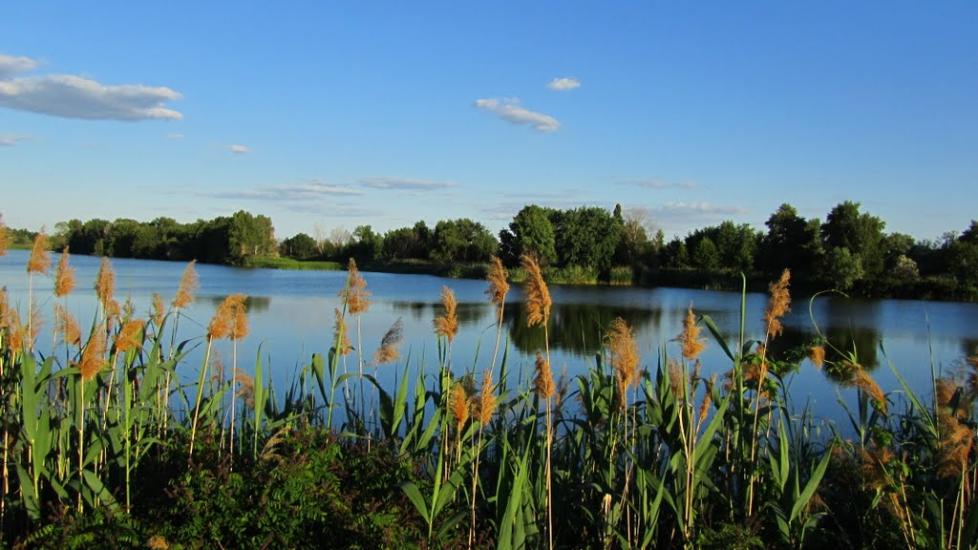 Чикалівка з panoramio.com - Чикаловка