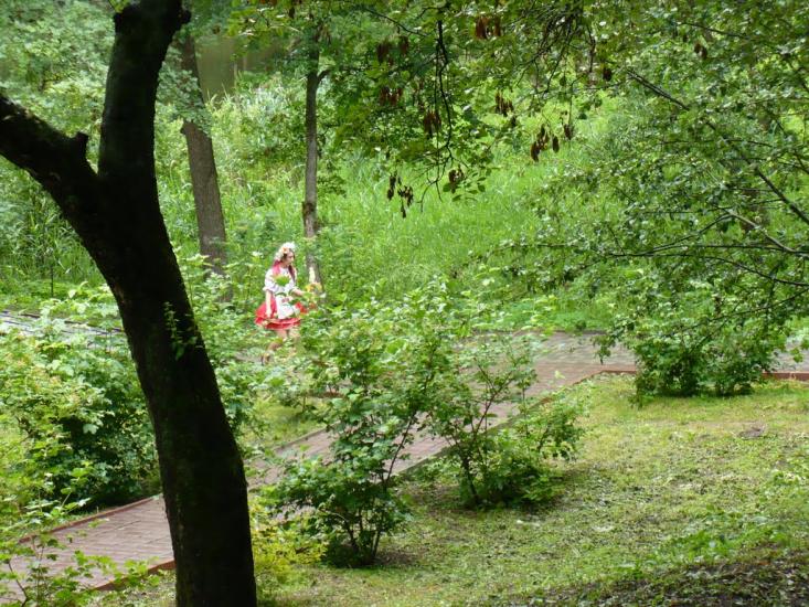 Сковородинівка з panoramio.com - Сковородинівка