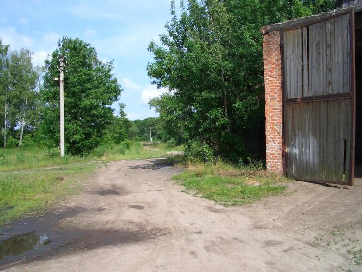 Алтинівка з panoramio.com - Алтинівка