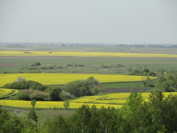 Веселе з panoramio.com - Веселе