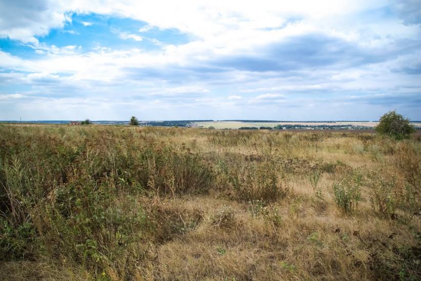 Гожули з panoramio.com - Гожулы