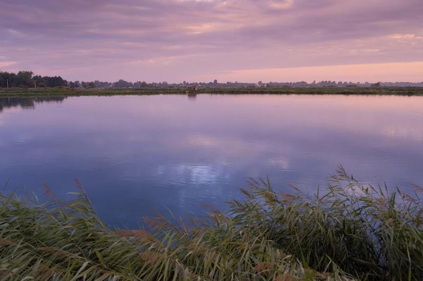 Великий Любінь з panoramio.com - Великий Любінь