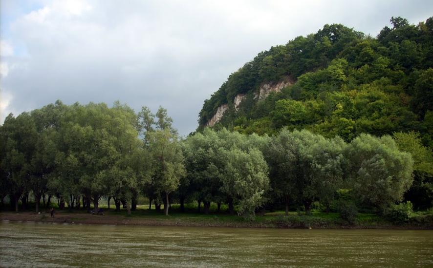 Золота Липа з panoramio.com - Золотая Липа