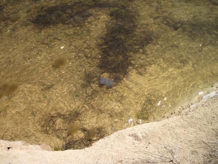 Хорли з panoramio.com - Хорлы