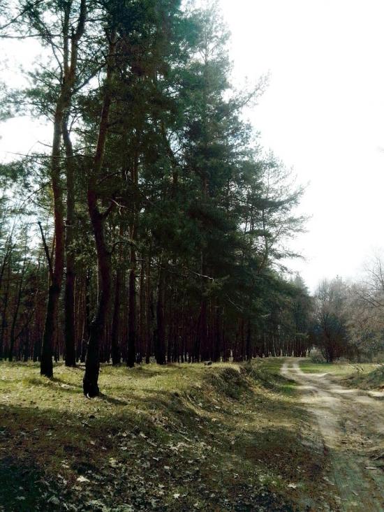 Лисичанський з panoramio.com - Лисичанский