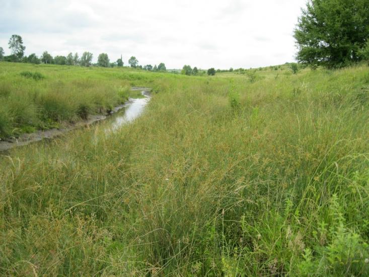 Золотковичі з panoramio.com - Золотковичі