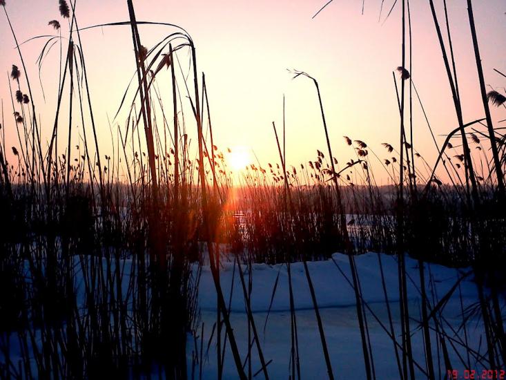 Суворове з panoramio.com - Suvorove