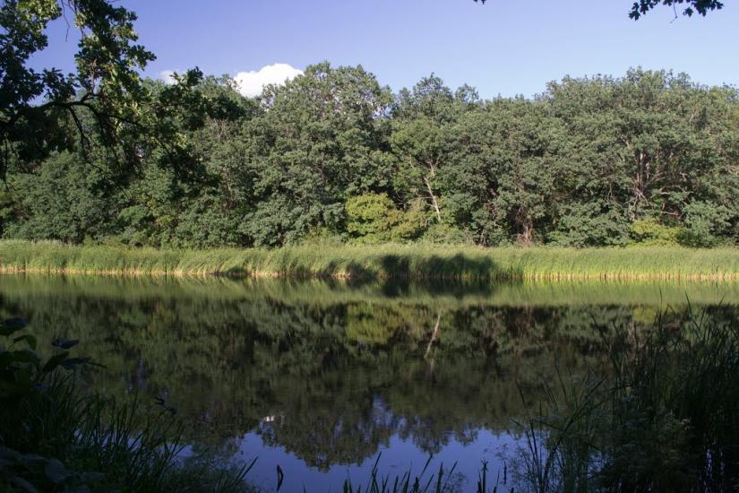 Підлісне з panoramio.com - Pidlisne