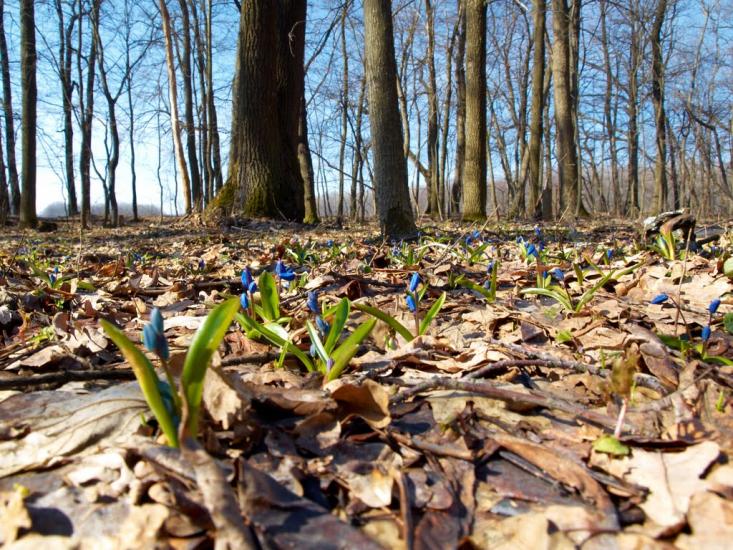 Високий з panoramio.com - Високий