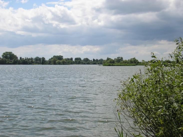 Зноб-Новгородське з panoramio.com - Зноб-Новгородське