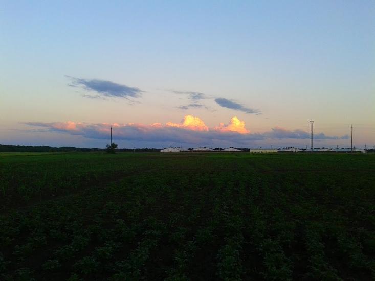 Шепелівка з panoramio.com - Шепелевка