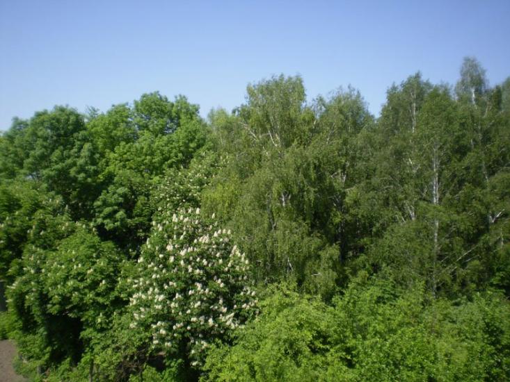 Золотоноша з panoramio.com - Золотоноша