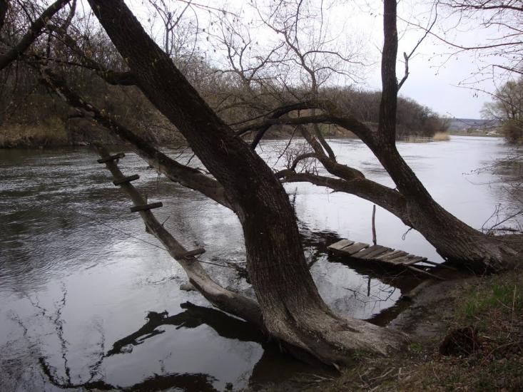 Крива Лука з panoramio.com - Кривая Лука