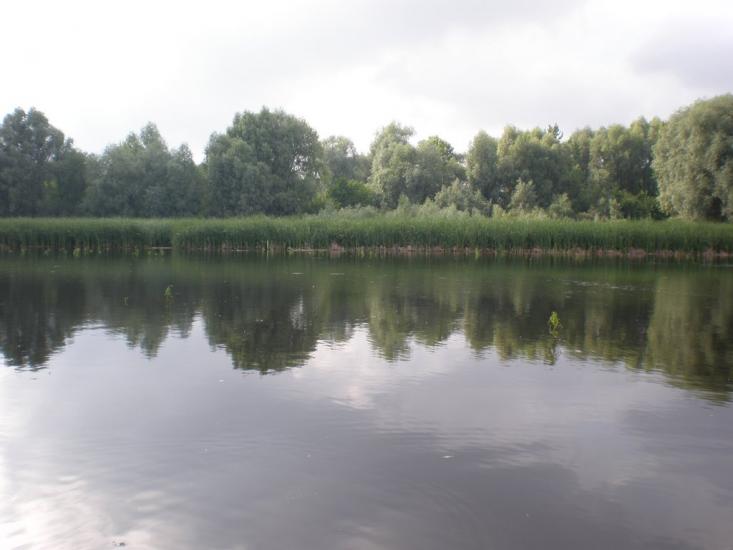 Кищенці з panoramio.com - Kyschentsi