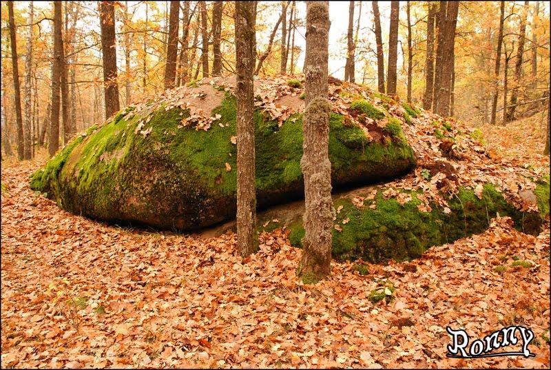 Рудня-Замисловицька з panoramio.com - Rudnya-Zamyslovytska