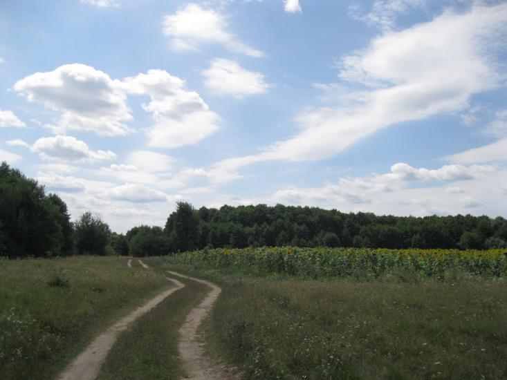 Рогізна з panoramio.com - Рогозна