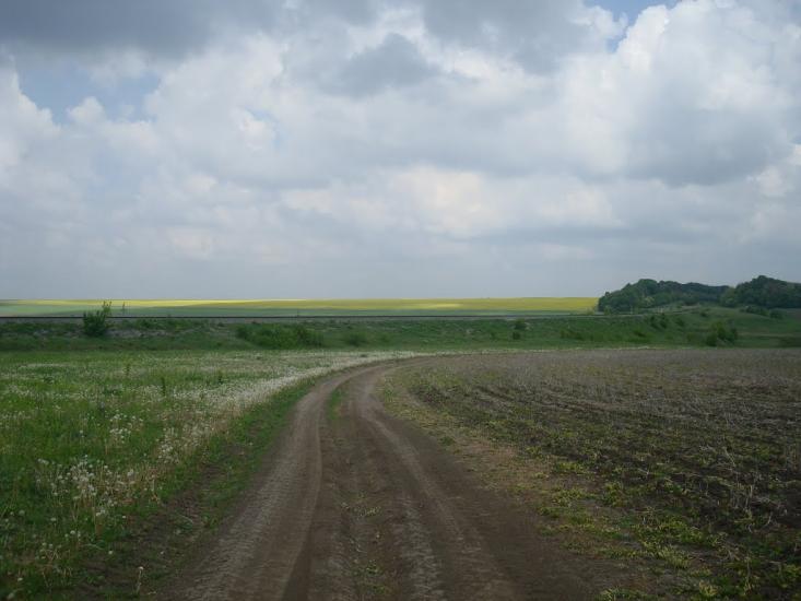 Зеленче з panoramio.com - Зеленче