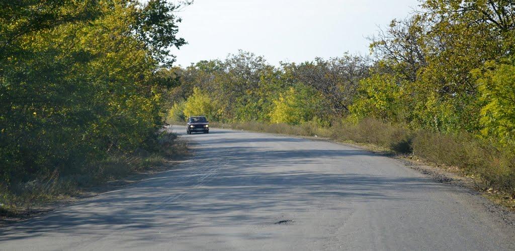 Дружба з panoramio.com - Дружба