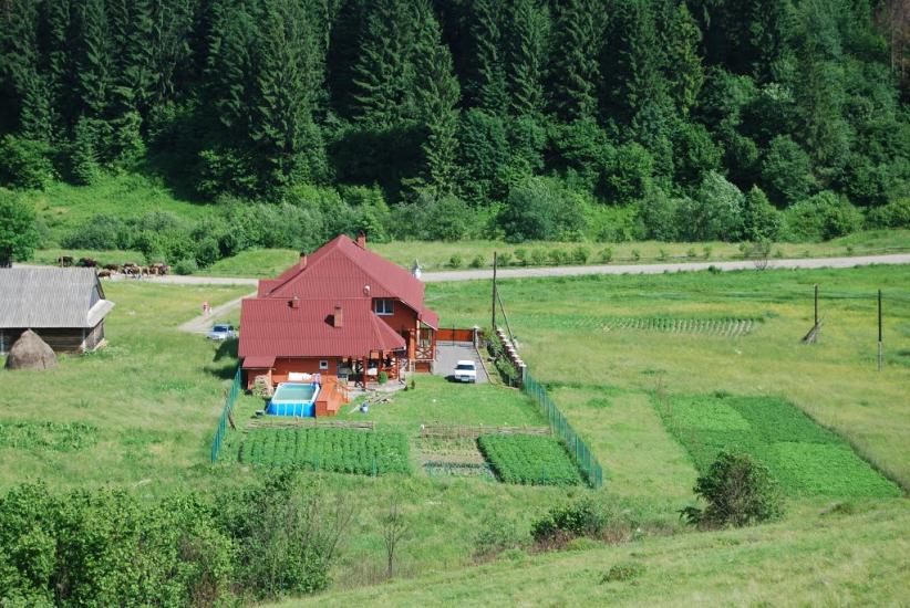 Річка з panoramio.com - Річка