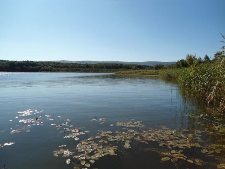 Доброгостів з panoramio.com - Доброгостов