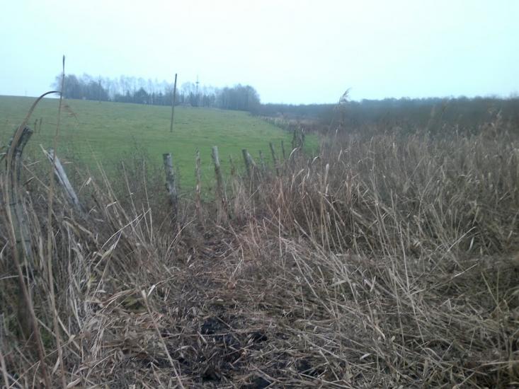 Ковиничі з panoramio.com - Ковиничі