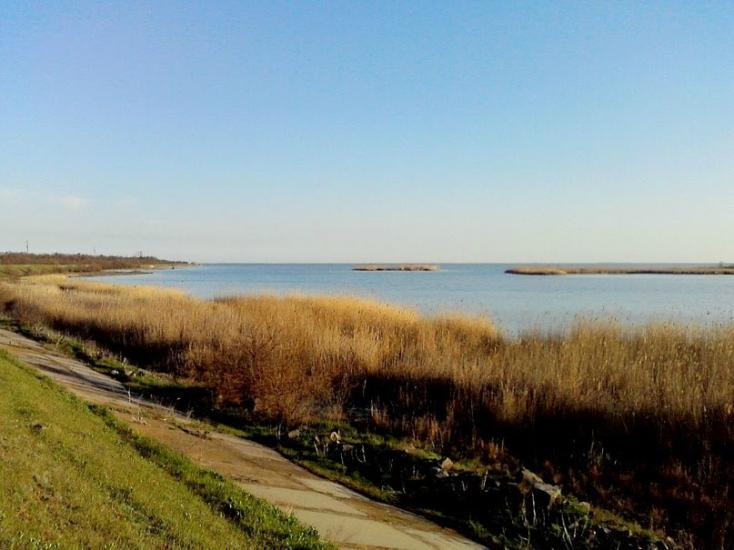 Лиман з panoramio.com - Лиман