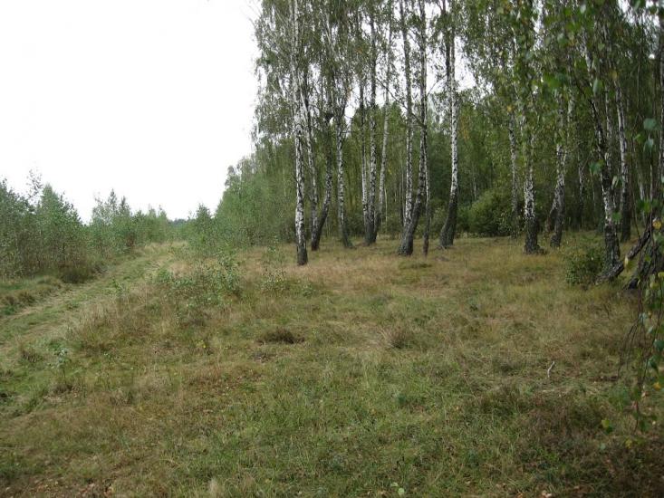 Рудня-Гацьківка з panoramio.com - Рудня-Гацьківка