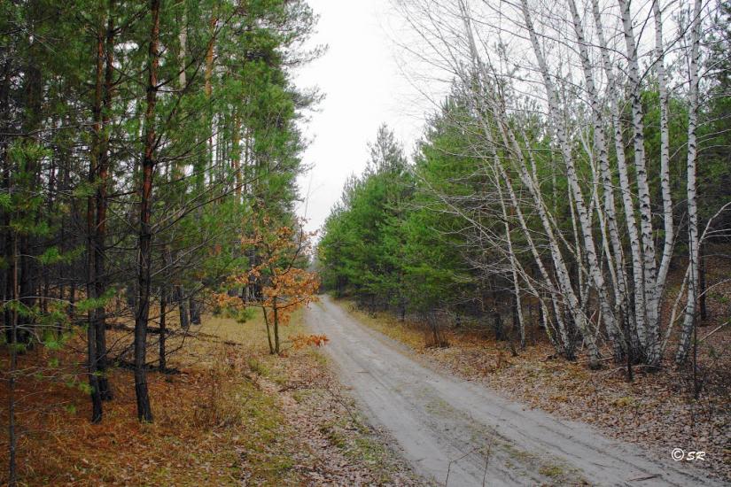 Зачепилівка з panoramio.com - Зачепиловка