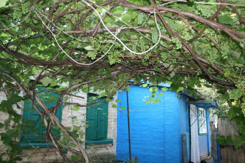 Тіньки з panoramio.com - Тиньки