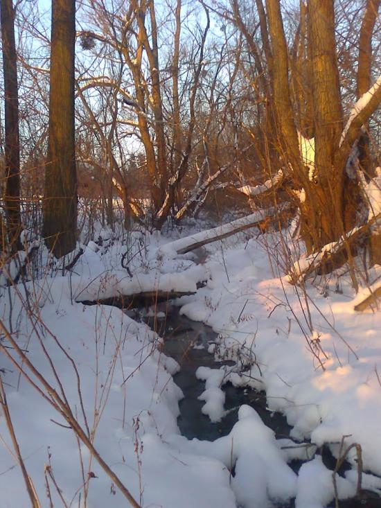 Вербовець з panoramio.com - Вербовець