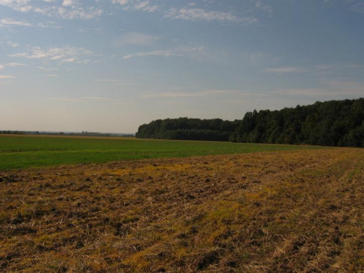 Лісна Поляна з panoramio.com - Лісна Поляна