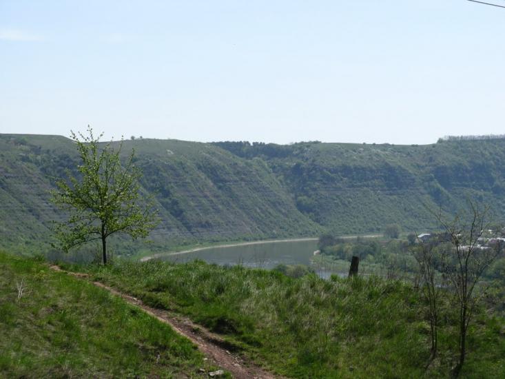 Іване-Золоте з panoramio.com - Иване-Золотое