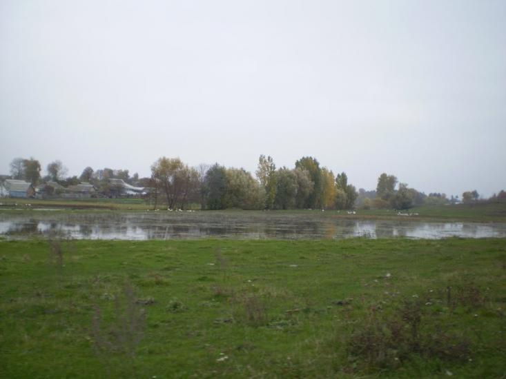 Пашківці з panoramio.com - Пашковцы
