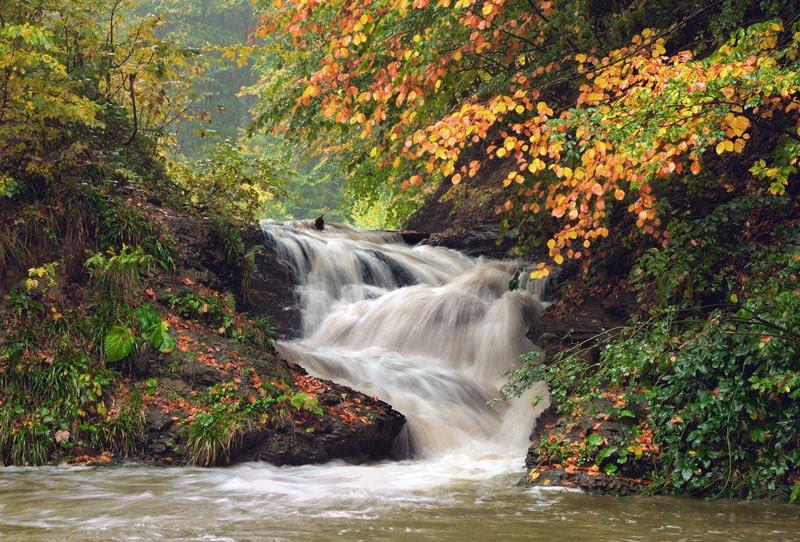 Лумшори з panoramio.com - Лумшори