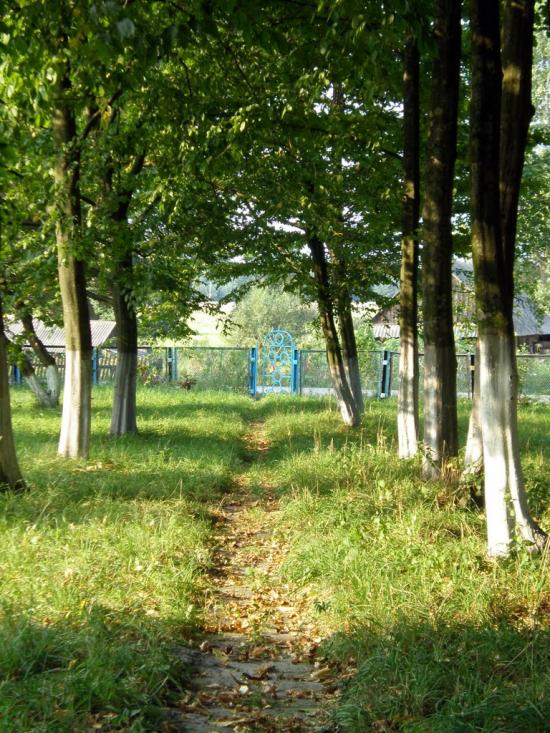 Облапи з panoramio.com - Oblapy