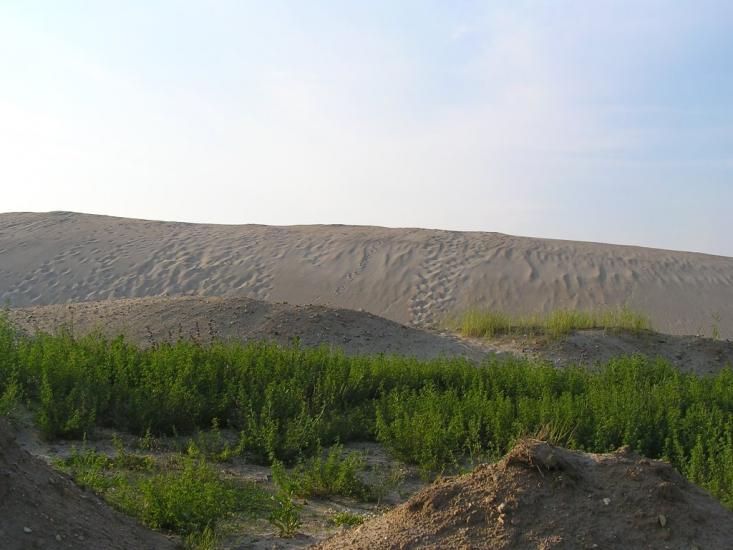 Іршанськ з panoramio.com - Іршанськ