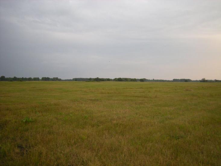 Любитове з panoramio.com - Любитове