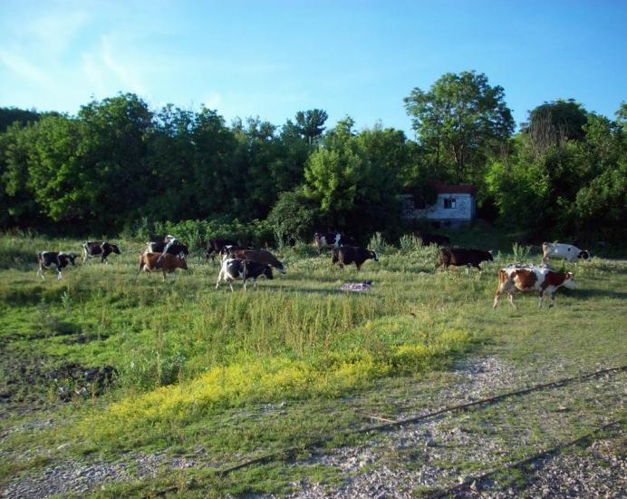 Верхня Слобідка з panoramio.com - Верхня Слобідка