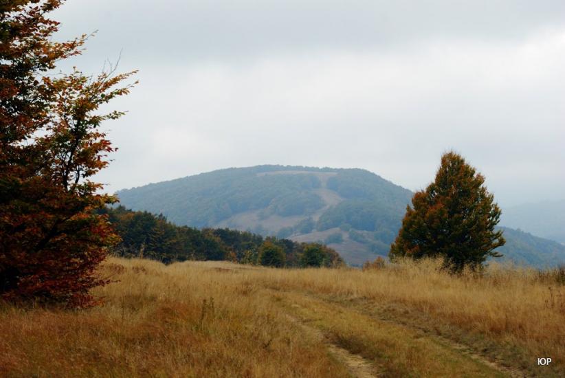 Тюшка з panoramio.com - Тюшка