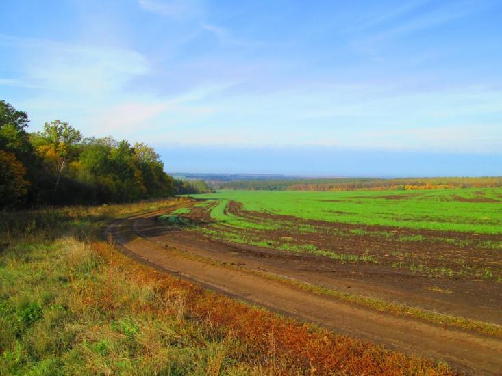 Бірки з panoramio.com - Birky