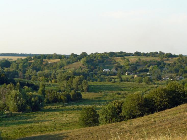 Сніжки з panoramio.com - Snizhky