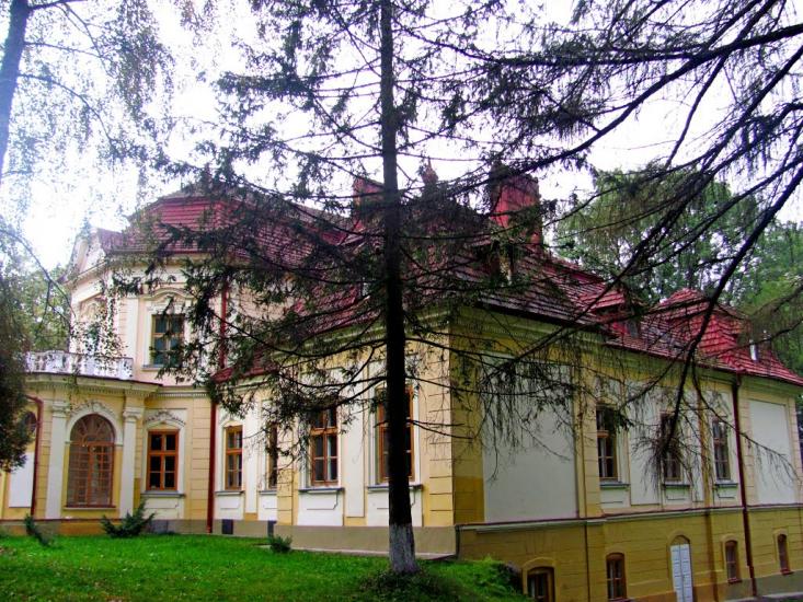 Великий Любінь з panoramio.com - Великий Любінь