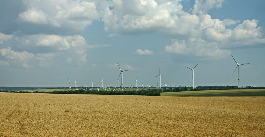 Безіменне з panoramio.com - Безіменне