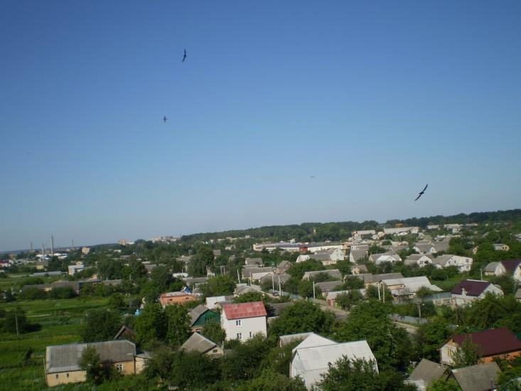 Буча з panoramio.com - Буча